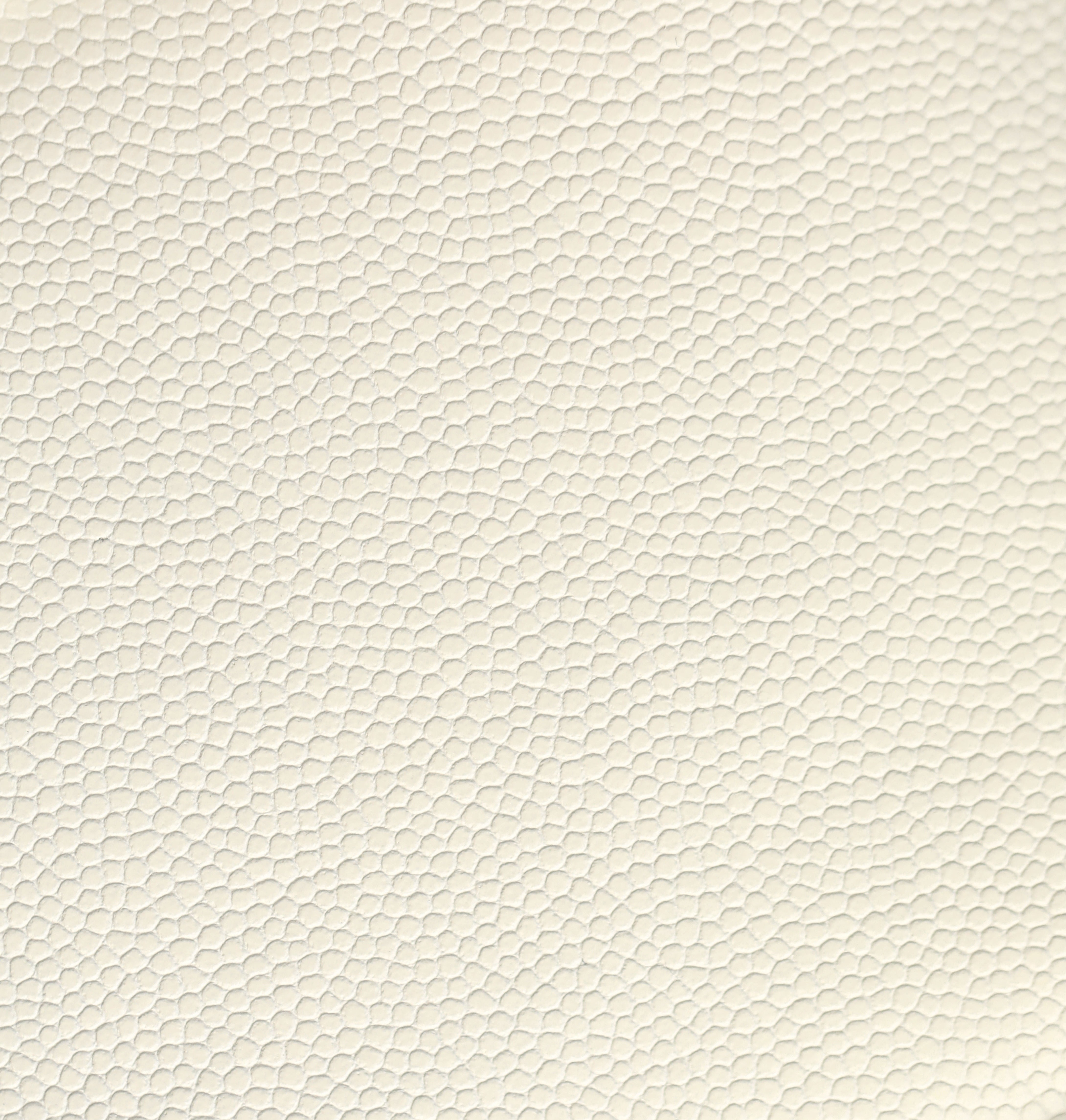 2b95f5c4fb56e4840c118b88e3d116df_1771472095_6918.jpg